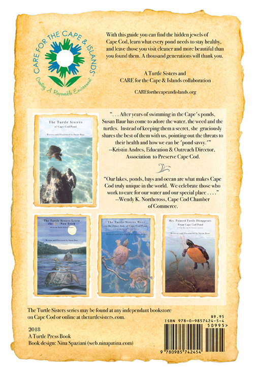 A Guide to the Best Ponds on Cape Cod - Susan Baur