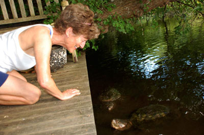 Author Susan Baur