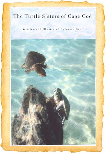 Turtle Sisters of Cape Cod Pond by Susan Baur