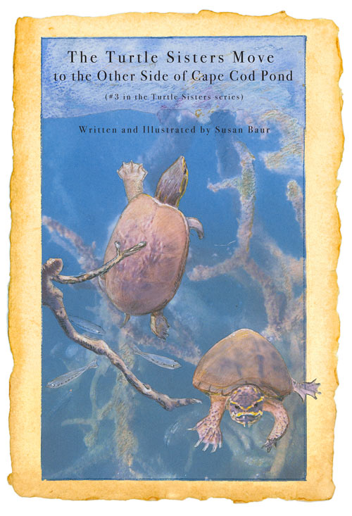 Susan Baur - The Turtle Sisters