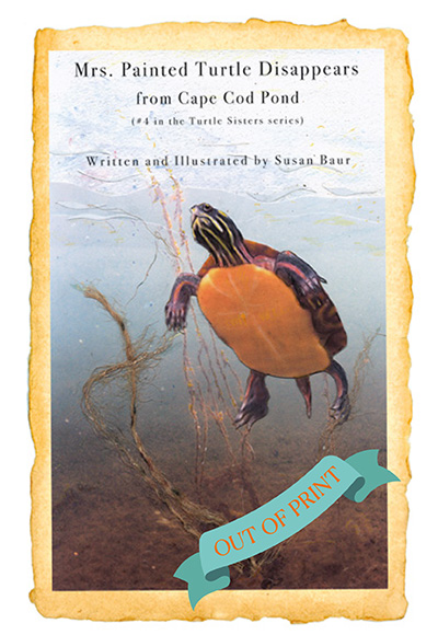 Mrs. Painted Turtle Disappears from Cape Cod Pond by Susan Baur